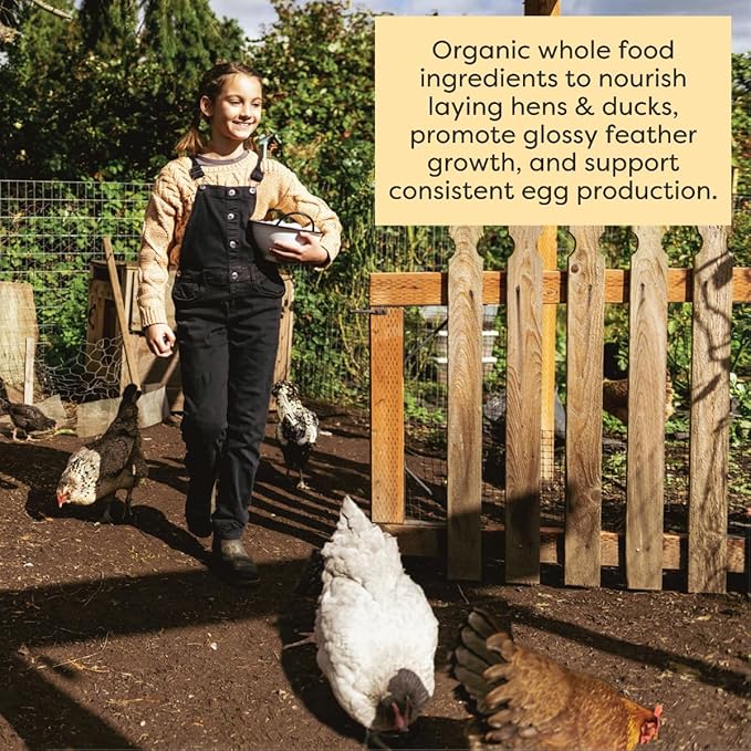 Scratch and Peck Feeds Whole Grain Layer Mash + Corn Chicken and Duck Feed - 40 lbs Bag - Soy-Free - 18% Protein, Certified Organic and Non-GMO Project Verified Chicken Food