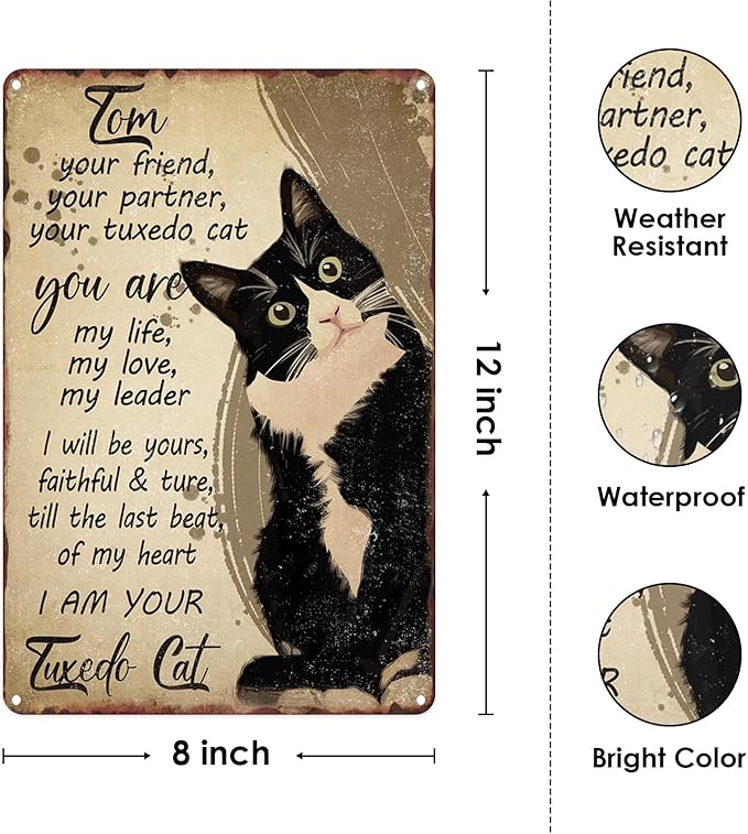 Black Cat Metal Sign I Am Your Friend Your Partner Your Cat You Are My Life Tin Sign For Home Office Living Room Bar Cafe Club Wall Decor Hanging Painting 12 X 8 Inch