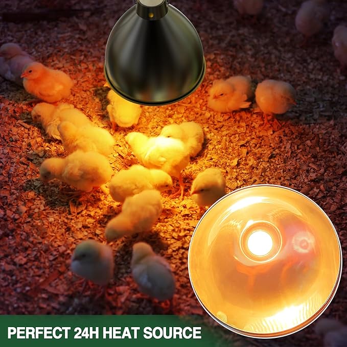 All-in-One Chick Brooder Kit with 75W Adjustable Heat Lamp, Spill-Proof Feeder & Waterer, and Rust-Proof Perch Stand for 5–15 Chicks