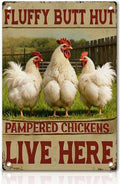Chicken Decor Metal Signs Funny Chicken Coop Signs Rooster Decor Farmhouse Wall Art Sign Fluffy Butt Hut Pampered Chickens Live Here Tin Sign for Farm Kitchen Garden, Farm Style Gift, 12x8 Inc