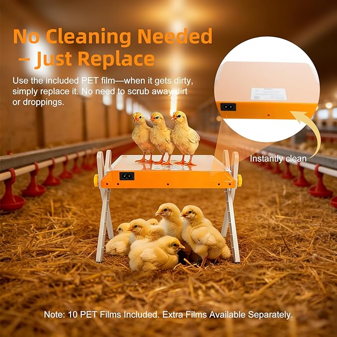 Chicken Coop Heater, Briidea 80W Chicken Heater with 110–130℉ Constant Heat, Energy-Efficient, Adjustable Height & Angle, 10 PET Cleaning Film, Mother-Hen-Like Comfort, 10" x 10" for 15 Small Poultry