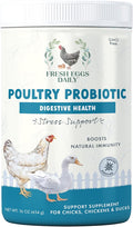 Fresh Eggs Daily Poultry Probiotics Feed Supplement – Natural Digestive & Immune Support for Chickens & Ducks – Enhances Egg Quality & Reduces Odor – 1 lb
