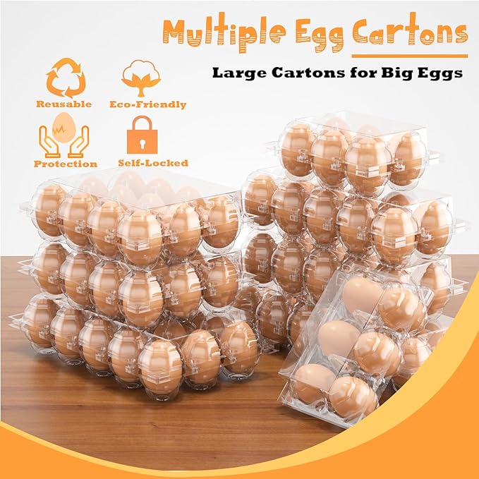 100PCS Egg Cartons Cheap Bulk, Large Egg Cartons Plastic 12 Count, 1 Dozen Reusable Egg Container Holder for Storing, Sharing, Selling, Clear Egg Cartons for Home Ranch Farm Market-2x6Grids