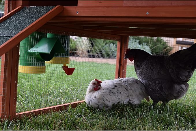 Rugged Ranch 2-Pack 10-Lb Poultry Feeder for Chicken Coops, Outside-Mount Design - Weather-Resistant, Easy Refill Access & Rain Shield to Help Keep Feed Dry