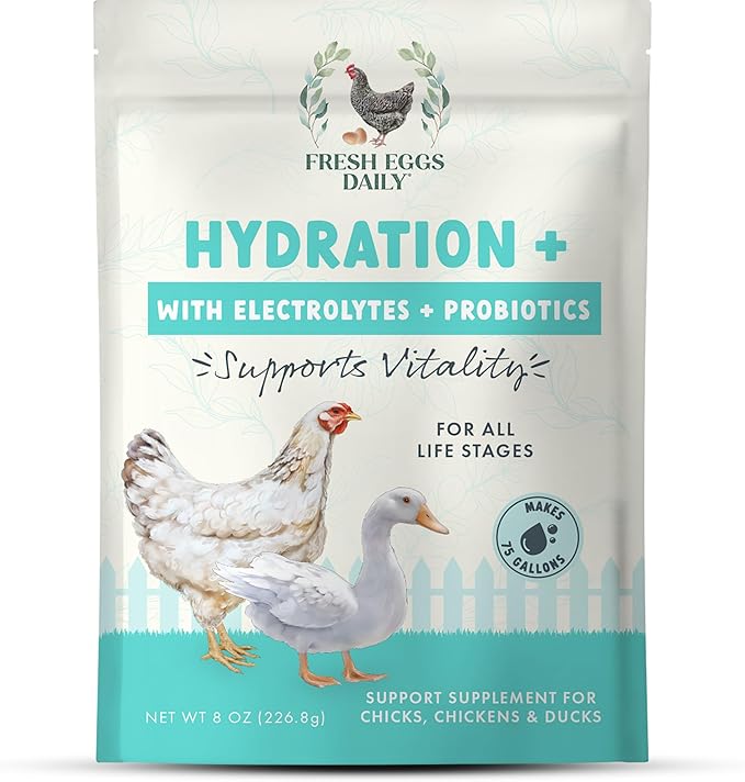 Fresh Eggs Daily Poultry Electrolyte Powder - Hydration Support Drink Mix with Probiotics for Chickens & Ducks - Natural Supplement for Environmental Challenges, Immune Health & Egg Quality - 8 Oz