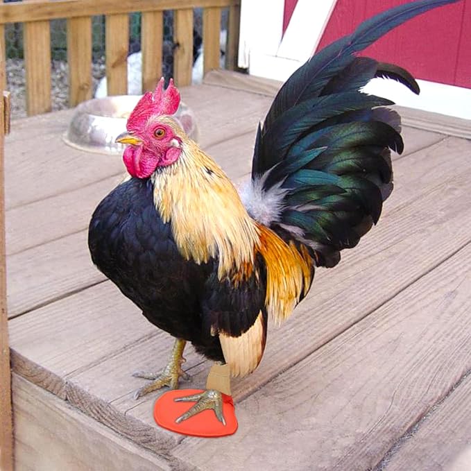 2 Pack Duck Splint Chicken Prosthetic Leg for Poultry Broken Feet Curled Toes Goose Turkey Chicken Leg Splint