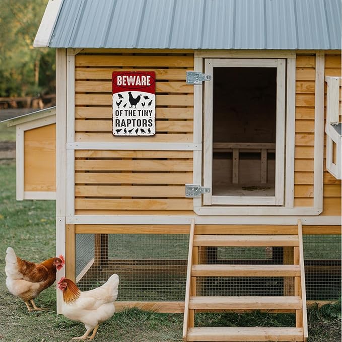 Funny Chicken Gifts for Women Farm Enthusiasts, Beware of The Tiny Raptor Aluminium Plate Signs, Humorous Chicken Decor for Farmhouse Coop Kitchen, Rustic Wall Art Decorations 8 X 12 Inch Metal Signs