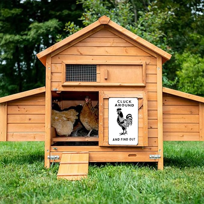 Cluck Around And Find Out Vintage Signs Retro Metal Tin Sign for Home Office Kitchen Bar Cafe Garden Farmhouse Chicken Coop Wall Decor 12x8 Inch