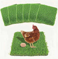 Washable Nesting Pads for Chicken Coop - 6 Pack 12"x12"x1.2" Chicken Laying Box Pads - Durable, Soft, Thick Artificial Grass Turf Mats for Nesting Boxes, Indoor/Outdoor Synthetic Bedding