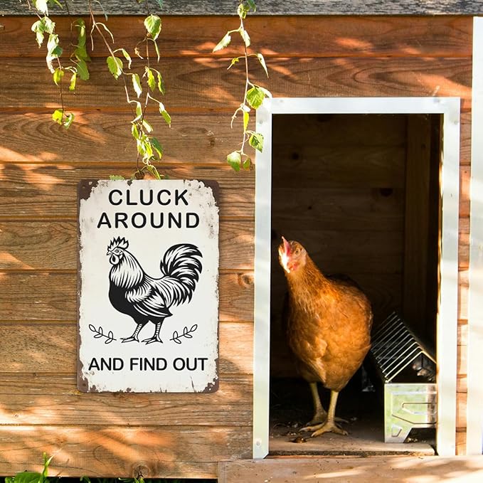 Funny Chicken Gifts for Women, Cluck Around and Find Out Aluminium Plate Signs, Humorous Chicken Decor for Home Farmhouse Coop, Rustic Wall Art Decorations 8 X 12 Inch Metal Signs