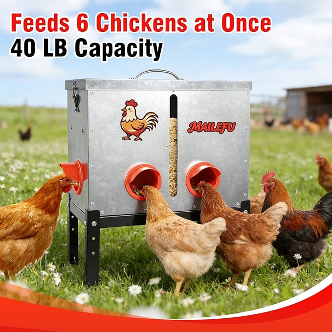 Automatic Chicken Feeder 40LB, Large Metal Poultry Feeder No Waste Design, Rat Rodent Proof Chicken Feeder with Locking Lid, Visual Window & Adjustable Legs, Weatherproof Chicken Coop Feeder