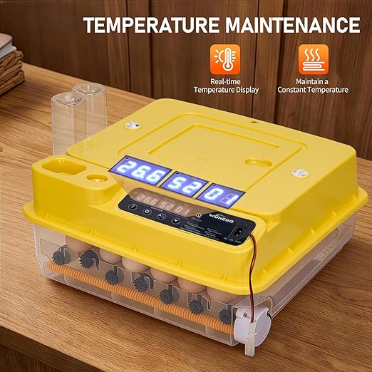 Winado Incubators for Hatching Eggs, 30 Egg Incubator with Automatic Egg Turning, Temperature & Humidity Control, Egg Candler, Automatic Water Filling and Day Counter for Eggs Hatching