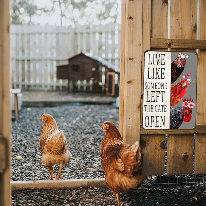 Chiken Gifts Vintage Chicken Sign Live Like Someone Left The Gate Open Tin Sign for Home Chicken Coop Farm Fence Kitchen Bathroom Bedroom Decor 8x12 Inches (3298)