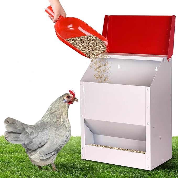 Galvanized Wall Mount Chicken Feeder No Waste Hanging Chicken Feeder with Lid Weatherproof Metal Automatic Poultry Feeder Trough Food Dispenser for Outside Coop (23 lbs)