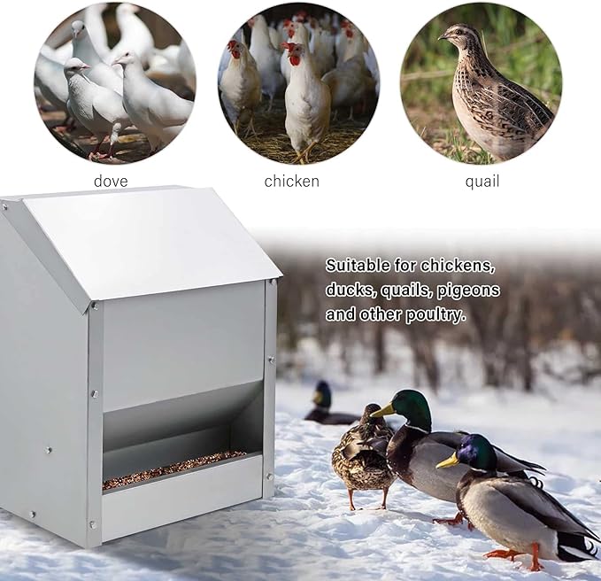 Stainless Steel Hanging Chicken Feeder with Lid No Waste Weatherproof Metal Automatic Poultry Feeder Wall Mount Outdoor Chicken Coop Food Dispenser Feeder for Chickens Ducks (25Lbs)