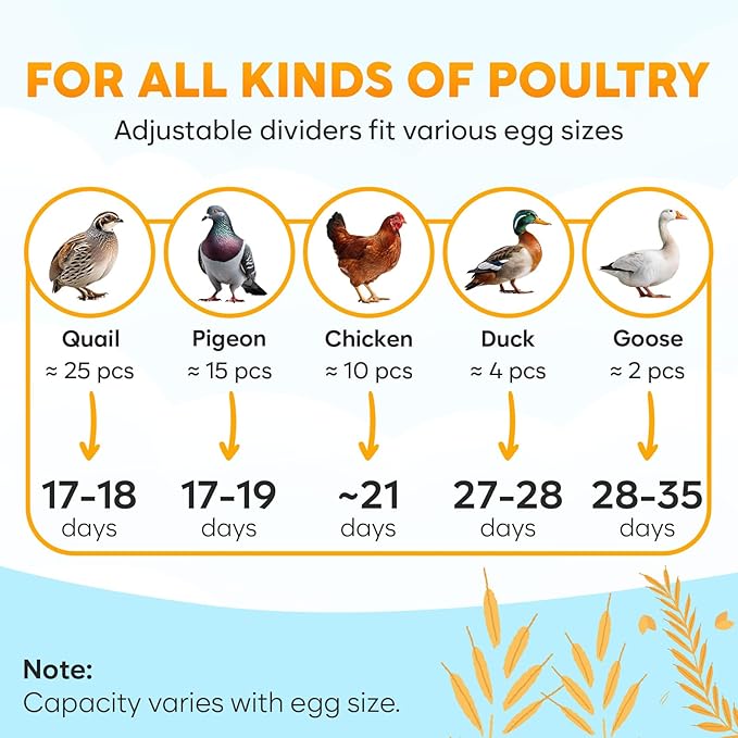 Okkobi M12 Egg Incubator with Automatic Turner and Humidity Control - 12/24 Eggs, 360° View, Easy to Use and Clean - Incubadora de Huevos de Gallina - Incubators for Hatching - White & Yellow