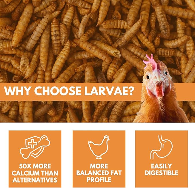 Black Soldier Fly Larvae Chicken Treats, Mealworms Substitute, Grubs for Chickens, High Calcium for Laying Hens, Made in USA (5 lbs)