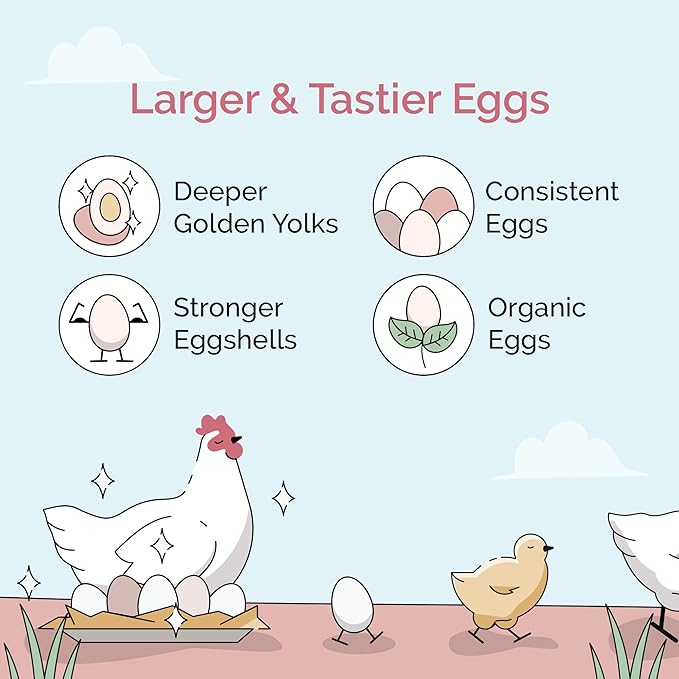 Mile Four Organic Chicken Feed – Layer Whole Grain, Non-GMO, USA Grown, 16% Protein, Corn-Free, Soy-Free, Non-Medicated Feed for Chickens, 2 lb Sample