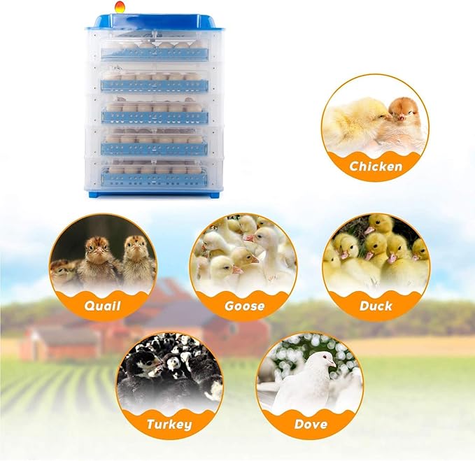 320 Eggs Incubator Automatic Turning Large Poultry Hatcher Digital Clear Humidity & Temperature Control LED Candler Hatching Chicken Duck Goose Quail (Size : 320egg) ()