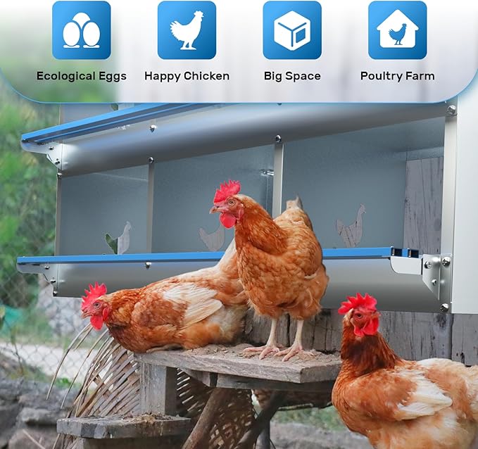 Chicken Nesting Box 6 Compartments Metal Laying Boxes for Chicken Hens Poultry Ducks Protect Eggs Chicken Coop Easy Egg Collection Wall Mount Nest Box for Chicken Coop
