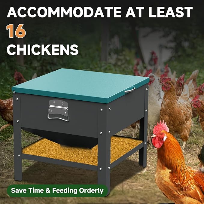 Heavy-Duty Automatic Chicken Feeder 80 lbs Capacity, No-Waste Gravity Poultry Feeder with Lid, Waterproof Galvanized Steel Feeding Box for Hens, Up to 16 Chickens for Coop & Run Use(Green)