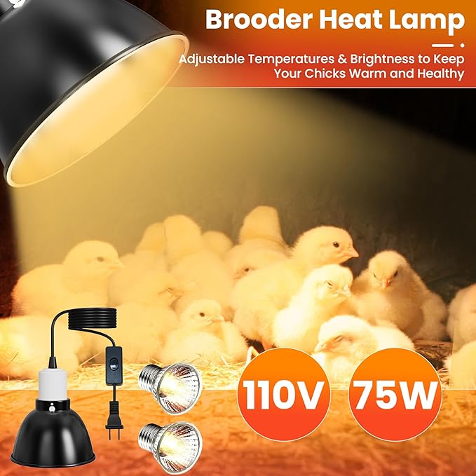 Chick Starter Kit, 2 Chick Feeders and 1.3L Automatic Waterer Set with 75W Adjustable Heat Lamp (2 Bulbs) and Stand Perch, Brooder/Coop Supplies for Baby Chicken, Duck, Quail