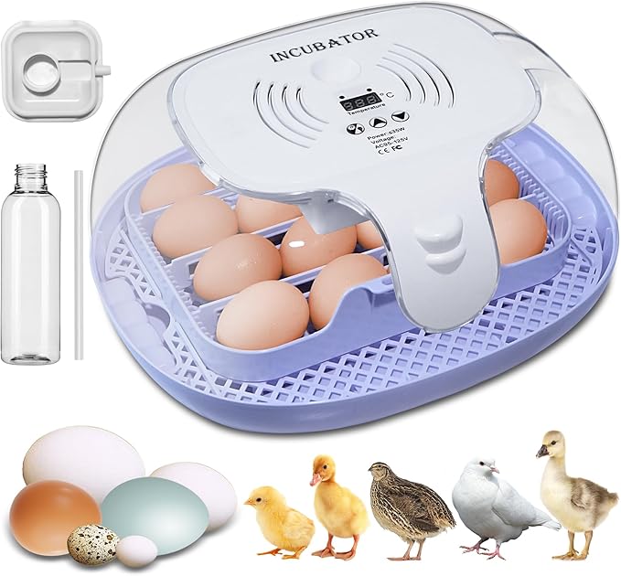 16 Egg Incubator with Automatic Egg Turning and Humidity Control,360 Degree View with Clear Window, Incubators for Hatching Eggs, Chicken, Ducks, Goose, Pigeon, Quail, Parrot