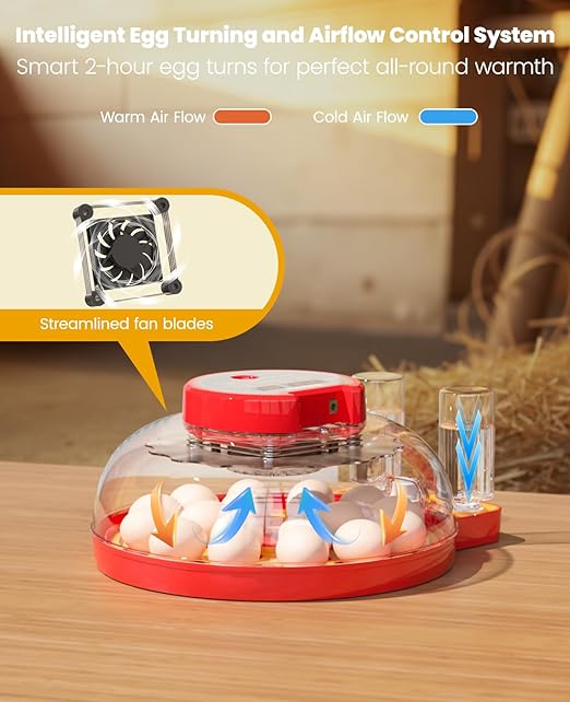 18-24 Incubators for Hatching Eggs with Automatic Egg Turning and Humidity Control Automatic Water Refill,Egg Candler Nature Right 360 Incubator Duck Quail Chick Turkey Hatching Incubator