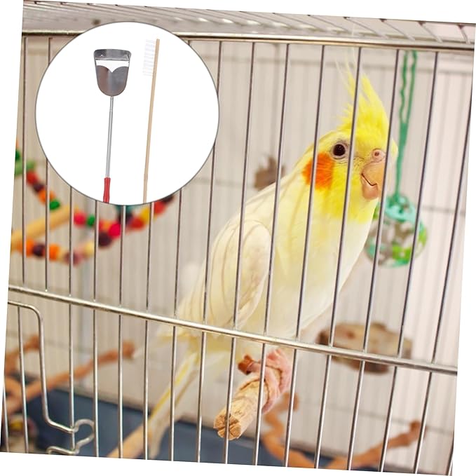 HANABASS 2Pcs Bird Cage Cleaning Tools Set Brush Shovel for Parrots and Birds Essential Supplies for Daily Cleaning Convenient Habitat Care