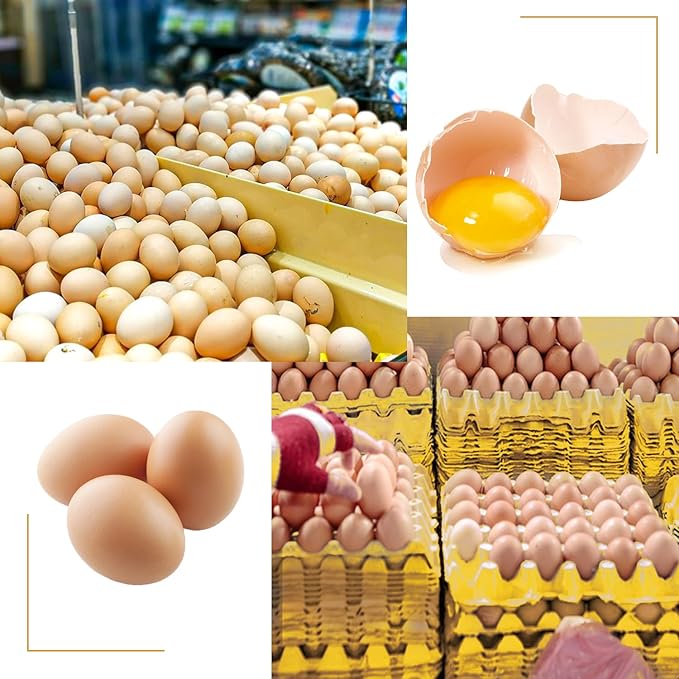 20 Flats 30-Cell Egg Crate（Holds 30 Eggs）, Cardboard Egg Cartons, Sturdy and Stackable Egg Flats, Perfect Egg Crates for Fresh Eggs, Chicken Farm