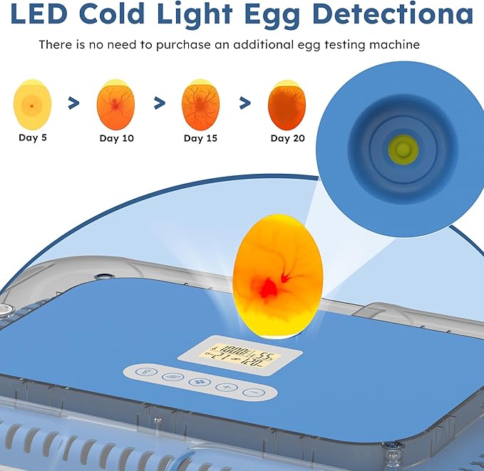 Egg Incubator for Hatching 70 Chicken, Duck, Quail & Goose Eggs – Automatic Egg Turner, Humidity & Temperature Control, Built-in LED Candler, Auto Water Refill, 360° Clear View Digital Poultry Hatcher