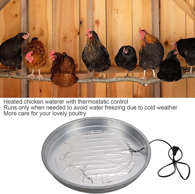 Poultry Chicken Supplies Water Heater Heating Base, Chicken Water Heating Base 30 ℃ Constant Temperature, Used in Most Poultry Fountain Water Dispenser, Chicken Coop Accessories(USA)