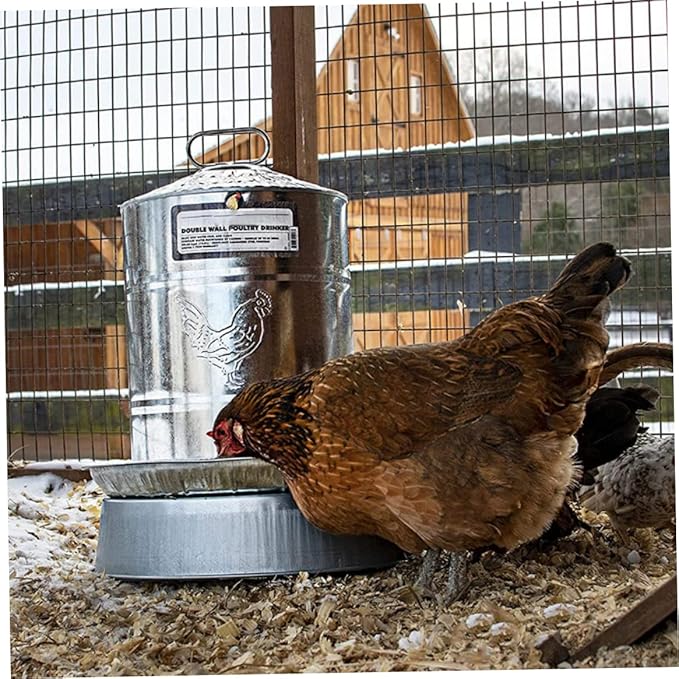 Chicken Water Heater Poultry Waterer Heated Base Metal Winter Deicer Chicken Drinking Fountain Heater Style1