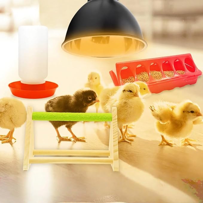 Chick Feeder and Waterer Kit with 75W Heat Lamp, Starter Kit for Brooder, Baby Chicken Supplies for Baby Chick, Duck and Quail