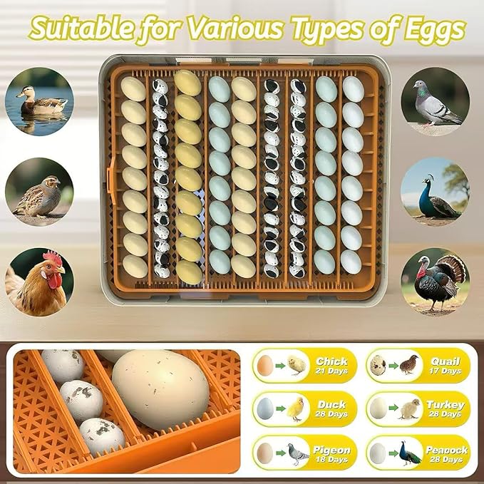 Egg Incubator for Hatching 56-154 Chicken/Quail/Turkey Eggs, 360° View Poultry Incubators with Automatic Egg Turning/Humidity Control&Alarm/Auto Water Adding/Adjustable Tray, for Beginner/Farm/Home