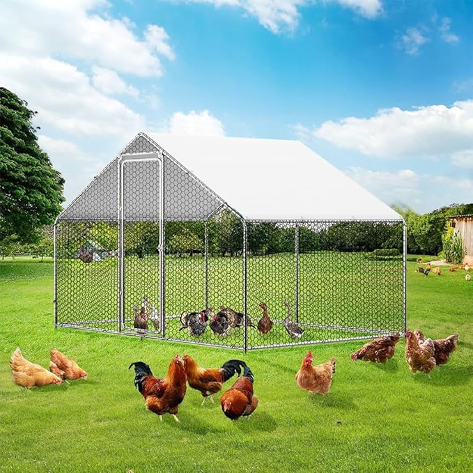 2 Pack Chicken Coop Cover Waterproof, 11.3 * 6.3 FT Chicken Run Cover Coop Tarp with 60 Ball Bungees Cords, Large Chicken Coop, Duck Coop Tarp Replacement,White