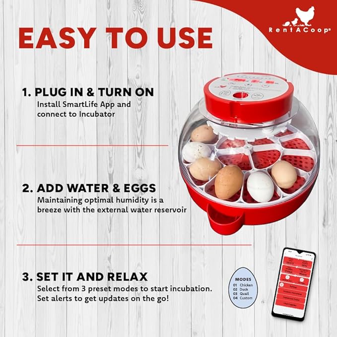 RentACoop 16-Egg Smart Incubator – App Controlled, Auto-Turn, Built in Candeling Light Perfect for Chickens, Ducks, and Quail!