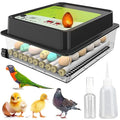 OBI-36 Incubator for Hatching Eggs – 36 Eggs, Easy to Use, Stable Temperature & Humidity Control with Eggloo Insulation - Green
