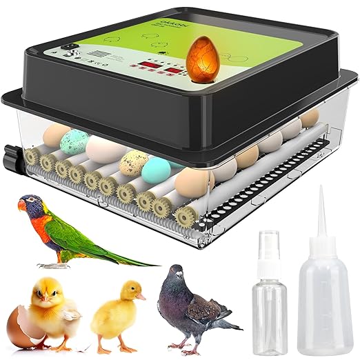 OBI-36 Incubator for Hatching Eggs – 36 Eggs, Easy to Use, Stable Temperature & Humidity Control with Eggloo Insulation - Green