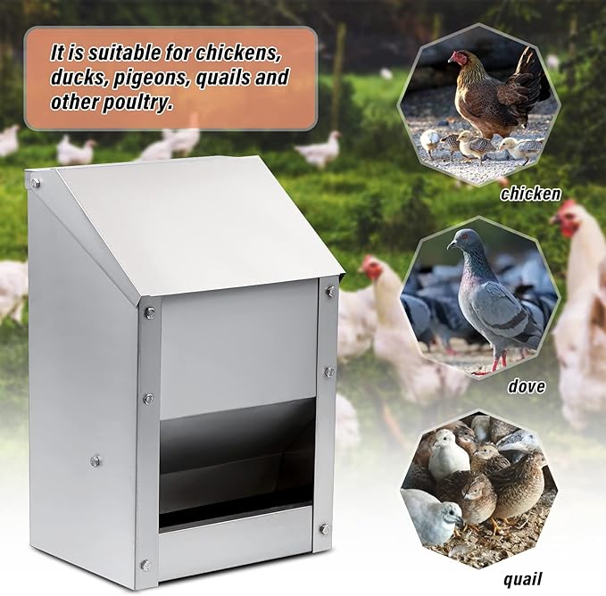 Wall Mounted Chicken Feeder Hanging Automatic Poultry Feeder with Lid Weatherproof Galvanized Steel Poultry Feeders Trough(10LB Capacity)