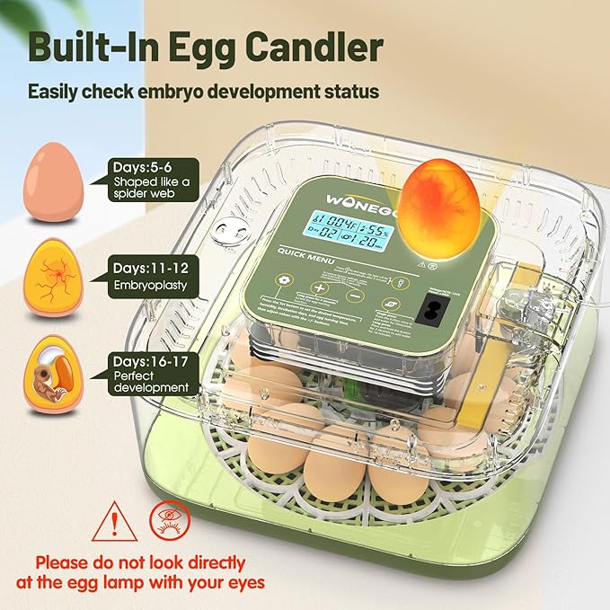 12 Egg Incubator with Automatic Egg Turning and Humidity Control, LED Egg Candling Light, Customized Incubation Days, Incubators for Hatching Eggs, Chicken Quail Parrot Pigeon Birds, Green
