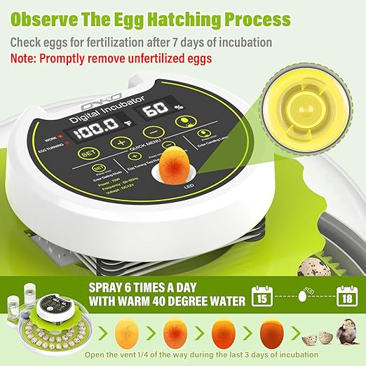 Quail Egg Incubator for Hatching 40 Quail Eggs with Automatic Turner and Humidity Control, Small Quail Brooder, Outdoor Poultry Egg Incubator, Suitable for Quail Parrot Canary and Other Bird