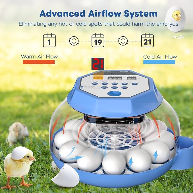 Automatic Egg Incubator with Turner & Humidity Control, 12-24 Egg Capacity, 360° View Clear Top, Poultry Hatcher for Chicken, Duck, Quail & Bird Eggs (E12 New)