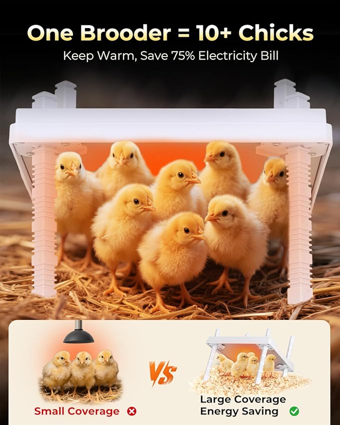 12"x12" Chick Heat Plate | Adjustable Height Angle | Remote Precise Temp Control | 30W Low-Energy Heater | Stable Anti-Tip Frame | Suitable for Up to 20 Chicks & Indoor Brooding