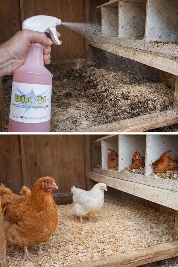 Chicken Coop Deodorizer - All Natural Ingredients for Ammonia Control and Odor Eliminator for Poultry - Works in Coops, Brooders, Nest Boxes, Waste Areas, Roosting Areas, Bedding - 32 oz Spray Bottle