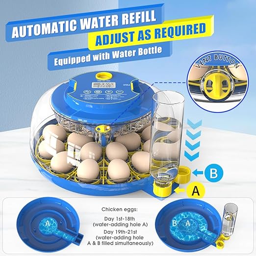 incubators for hatching eggs，18 Egg Incubator,egg incubator with automatic egg turning and humidity control，incubator for chicken eggs，chicken incubators for hatching eggs，quail egg incubator