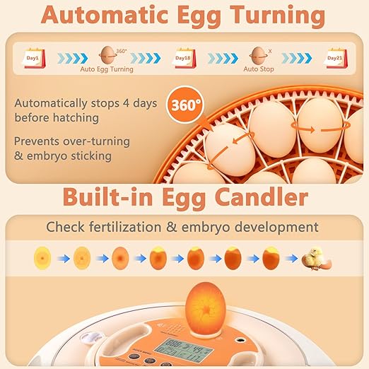 Voice-Controlled Incubator for Hatching Eggs, 2 Egg Trays for 26 Chicken or 59 Quail Eggs, Egg Incubator with Automatic Egg Turning and Humidity Control, Temp Control, Egg Candler, Chicken Incubator