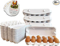 Reusable Pulp Egg Carton,12-Count Storage Container, Farm Fresh Egg Holder for Countertop, Chicken Egg (20, white, 2 * 6)