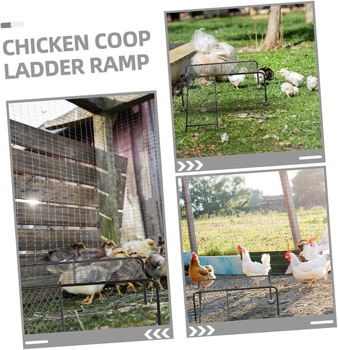 VICASKY Rutin Chicken Feeding Station with Iron Mesh Rack Sturdy Chicken Coop Shelf for Feeding and Drinking for Poultry Care and Landscape Decoration