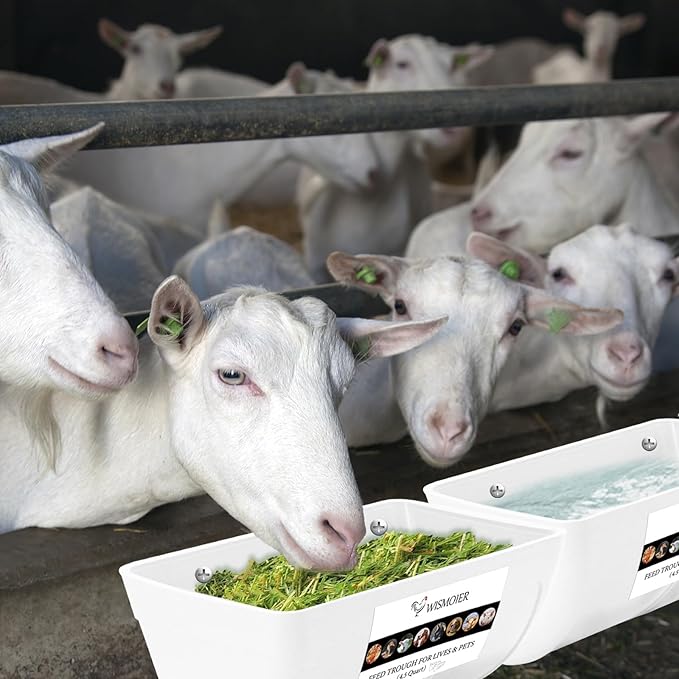 2 Pack Chicken Feeder Trough with Clips Fence Hanging Goat Feeders Hanging Feeders for Livestock,Horse Chicken Deer Goose,Pig Chicken Feed Trough Bucket Feeding Container